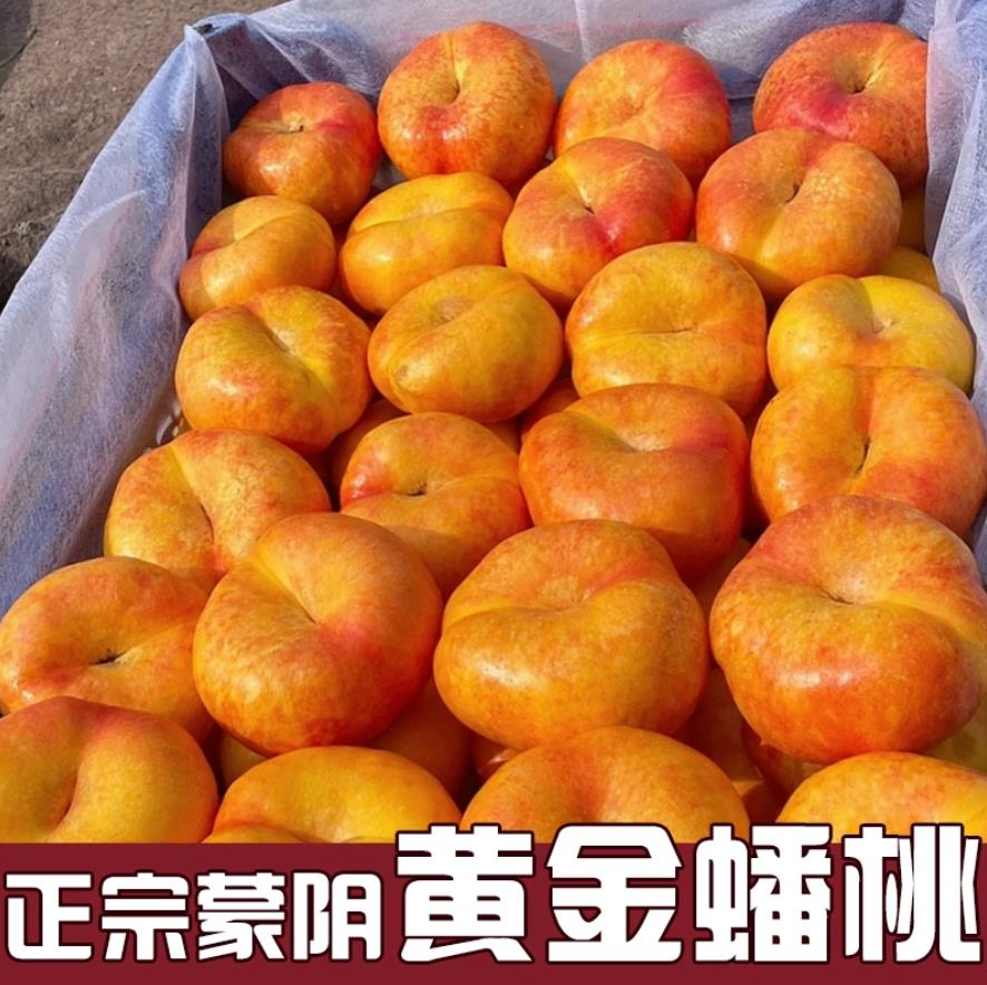 蒙阴黄金油蟠桃新鲜整箱应季水果山东黄油桃孕妇当季脆桃黄肉桃子5斤