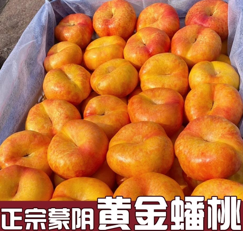 蒙阴黄金油蟠桃新鲜整箱应季水果山东黄油桃孕妇当季脆桃黄肉桃子