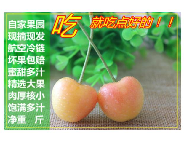 黄樱桃现摘露天烟台黄水晶现货黄色黄蜜黄金车厘子