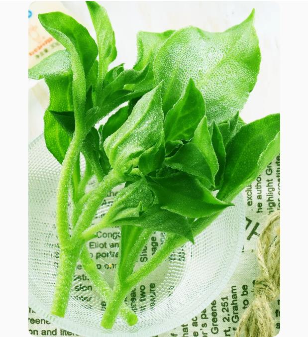 新鲜冰草5斤冰菜蔬菜顺丰非洲花冰叶火锅即食生吃3沙拉菜凉拌