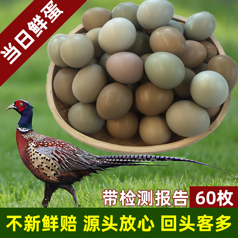 野鸡蛋60枚 七彩山鸡蛋新鲜 野金鸡蛋 绿乌鸡蛋 农家土鸡蛋山鸡蛋