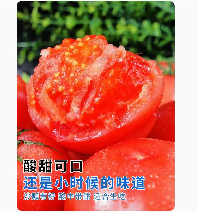 西红柿新鲜普罗旺斯9斤自然熟蔬菜草莓柿子10水果大生吃沙瓤番茄
