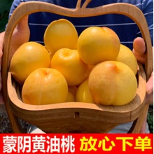 蒙阴黄金油桃现摘黄心黄肉桃子新鲜水果5斤装当季甜黄桃包邮
