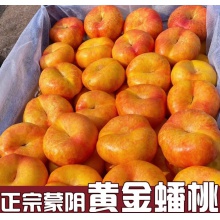 蒙阴黄金油蟠桃新鲜整箱应季水果山东黄油桃孕妇当季脆桃黄肉桃子