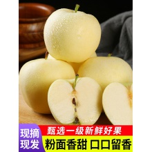 黄金帅刮泥沙苹果黄元帅金帅新鲜水果黄香蕉甜面