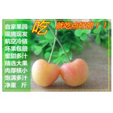 黄樱桃现摘露天烟台黄水晶现货黄色黄蜜黄金车厘子