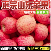 正宗山东红富士苹果富士新鲜孕妇水果10斤包邮当季整箱冰糖心