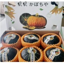贝贝小南瓜板栗味5-6只礼盒香甜糯宝宝辅食日本南瓜新鲜蔬菜