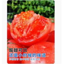 西红柿新鲜普罗旺斯9斤自然熟蔬菜草莓柿子10水果大生吃沙瓤番茄